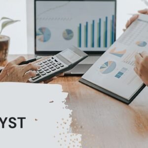 Data Analyst