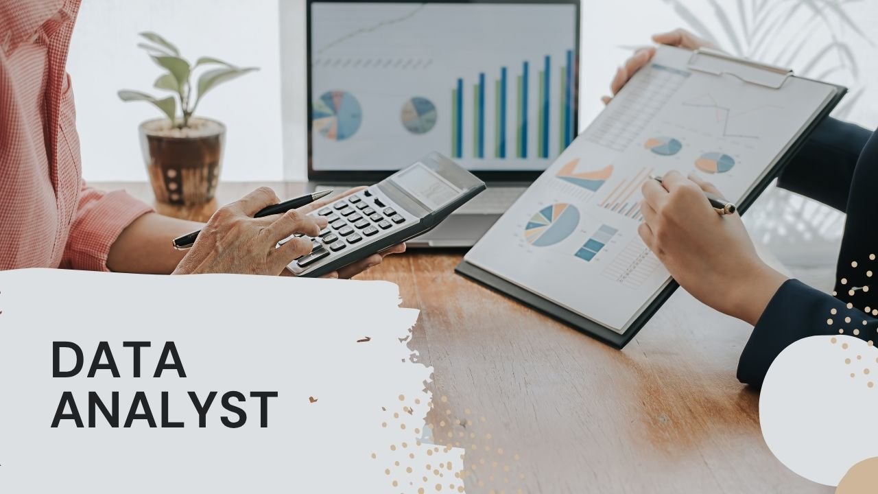 Data Analyst